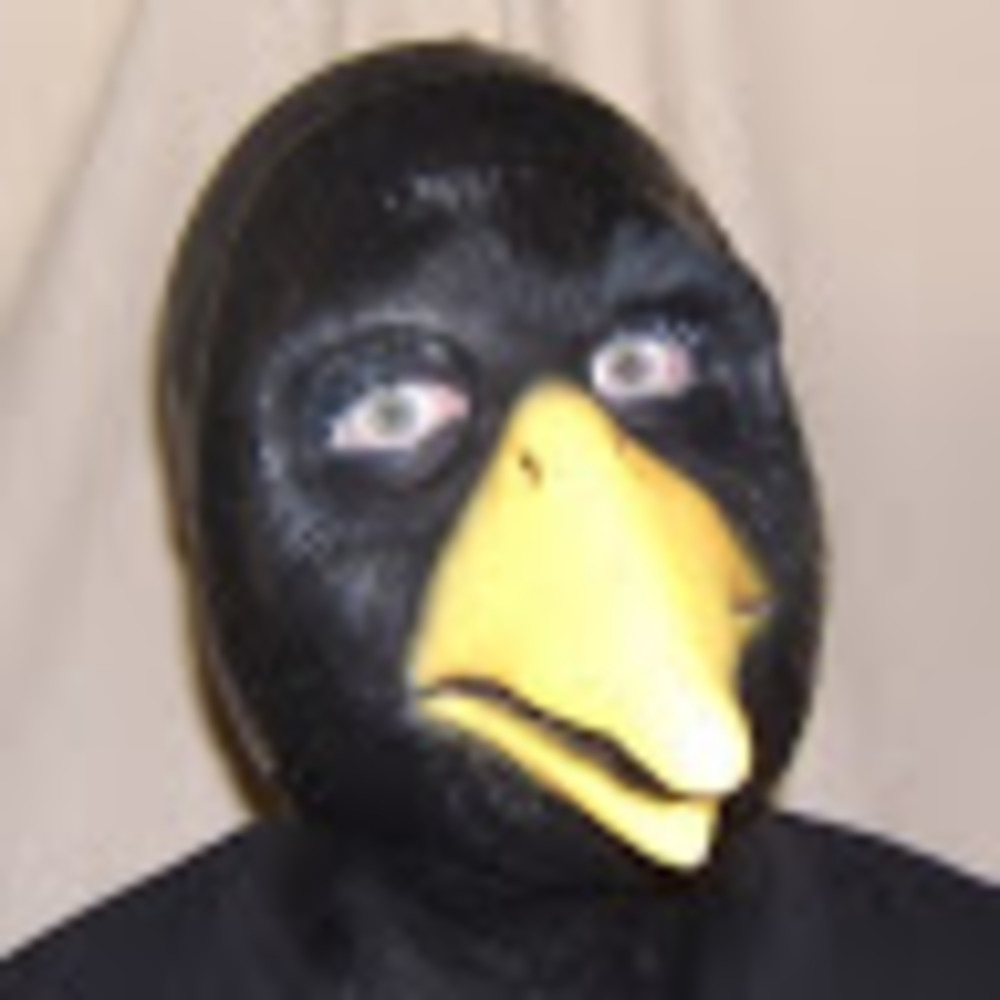 Meet your Posher, Crow